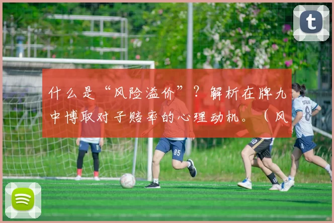 什么是“风险溢价”？解析在牌九中博取对子赔率的心理动机。（风险溢价从何而来：透视牌九中博取对子赔率的心理驱动）