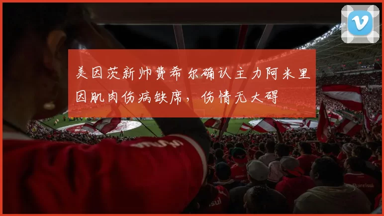 美因茨新帅费希尔确认主力阿米里因肌肉伤病缺席，伤情无大碍