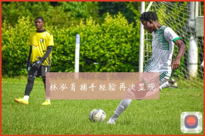 林泓育捕手经验再次显现