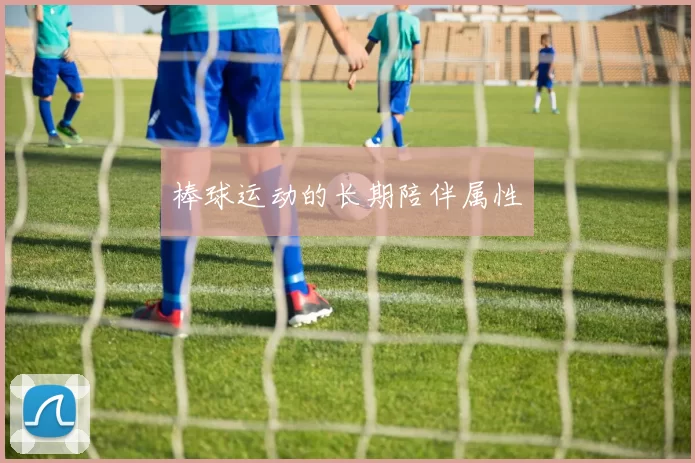 棒球运动的长期陪伴属性