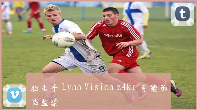 狙击手 Lynn Vision z4kr 可能面临监禁