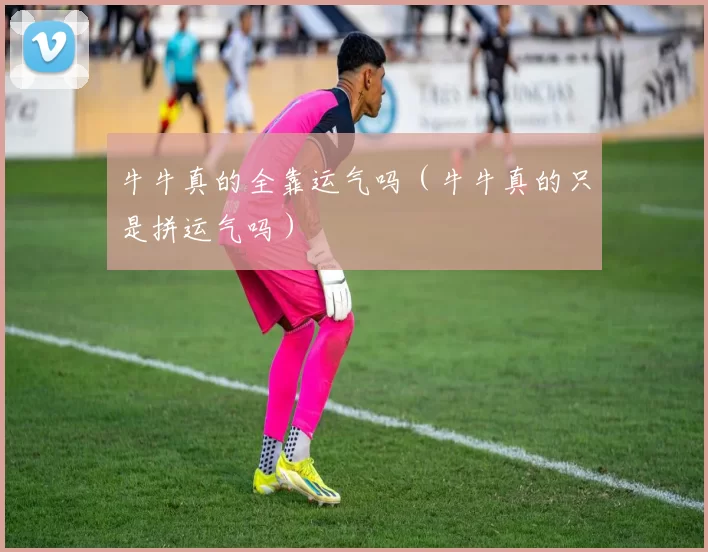 牛牛真的全靠运气吗（牛牛真的只是拼运气吗）